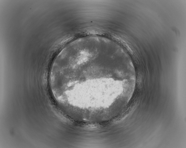 X0000111380402200908211344