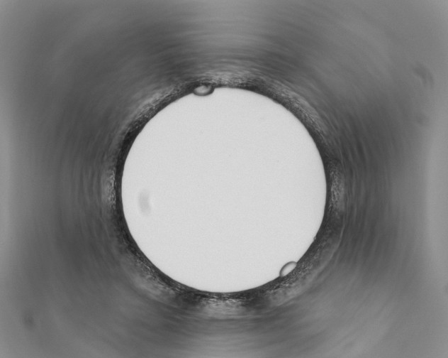 X0000111380403200908211344