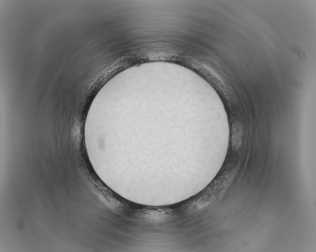 X0000111380405200908211344