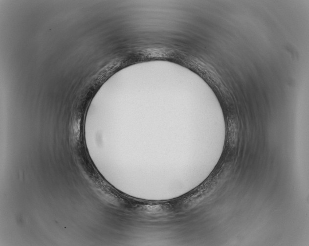 X0000111380406200908211344