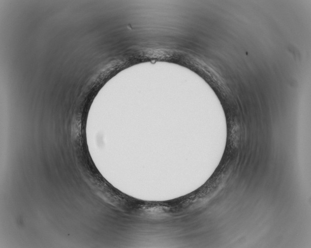 X0000111380407200908211344