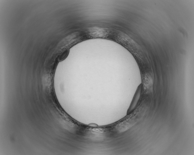 X0000111380409200908211344