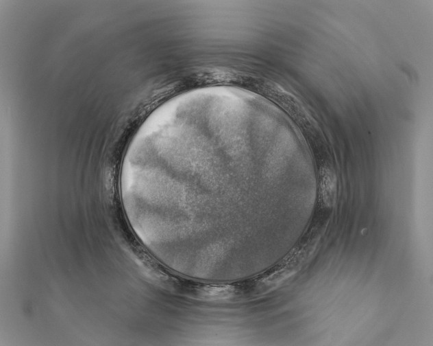 X0000111380410200908211344