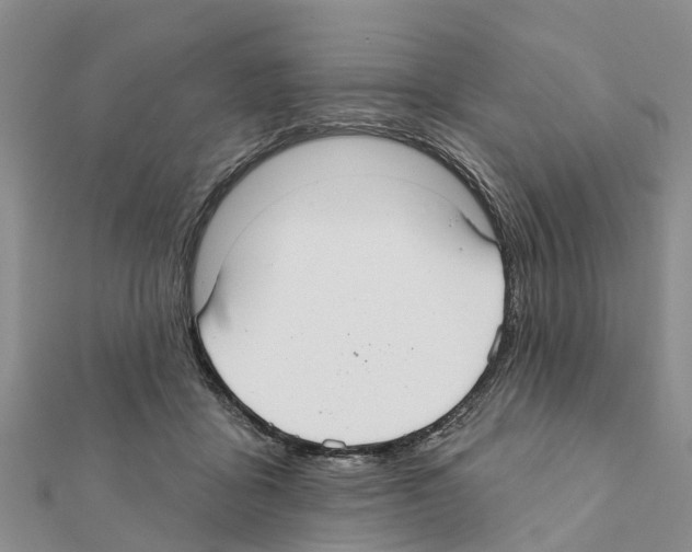 X0000111380411200908211344