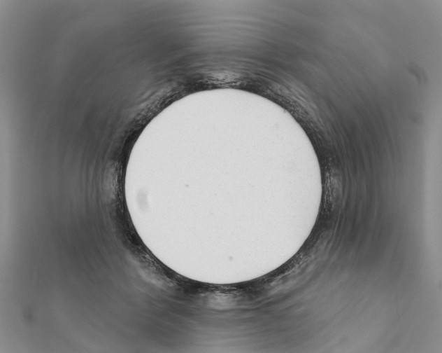 X0000111380412200908211344