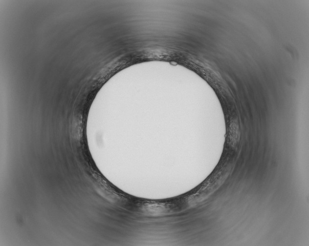 X0000111380413200908211344