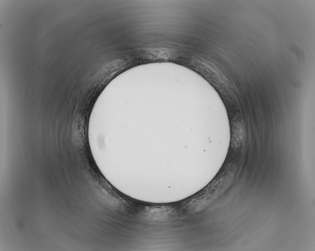 X0000111380414200908211344