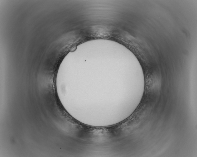 X0000111380415200908211344