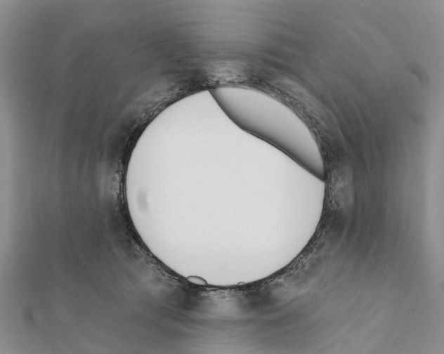 X0000111380417200908211344