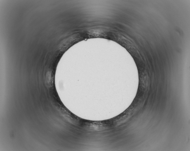 X0000111380420200908211344