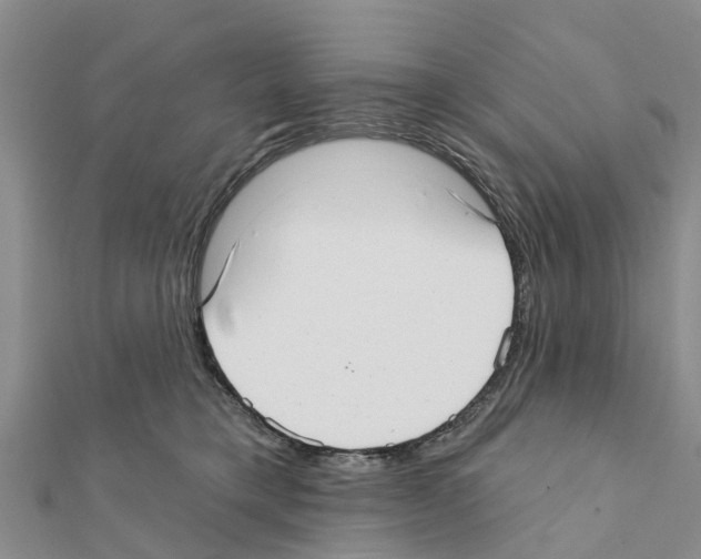 X0000111380421200908211344