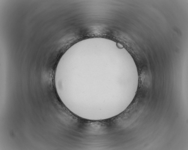 X0000111380423200908211344