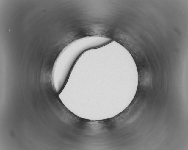 X0000111380425200908211344