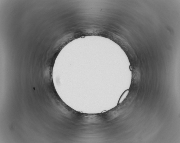 X0000111380428200908211344