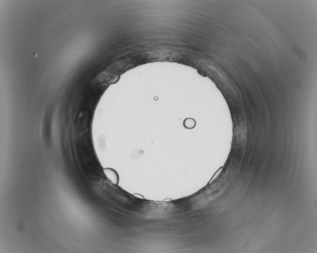 X0000111380429200908211344