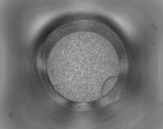 X0000111380431200908211344