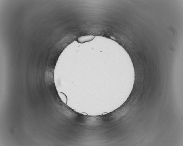 X0000111380432200908211344