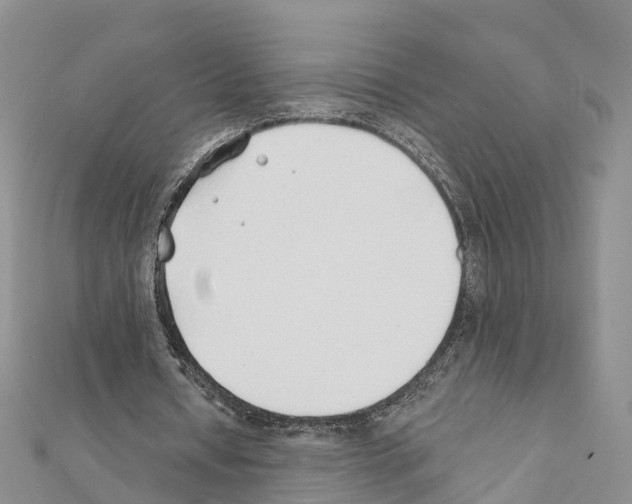 X0000111380434200908211343