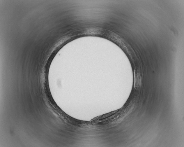 X0000111380435200908211343