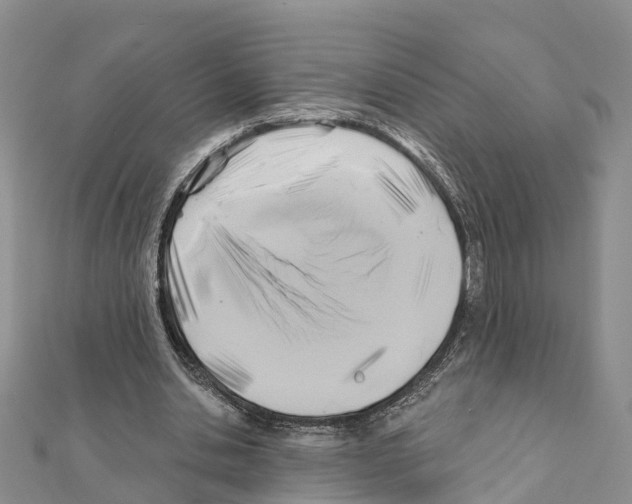 X0000111380438200908211343