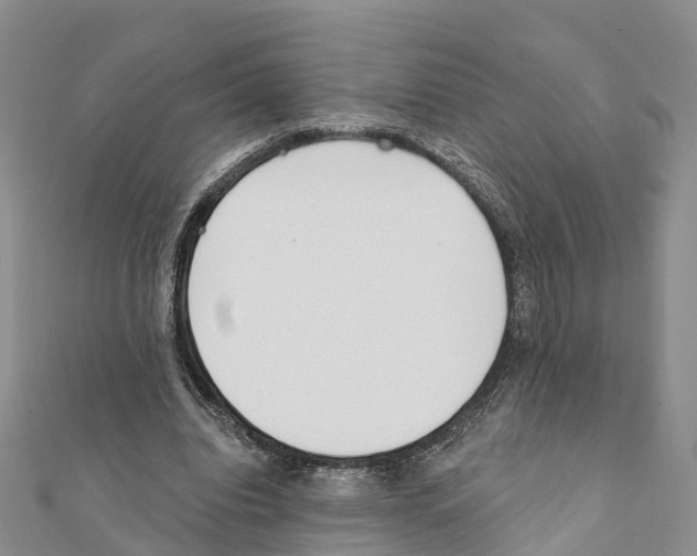 X0000111380440200908211343