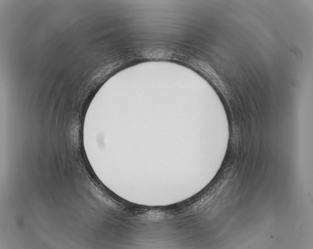 X0000111380441200908211343