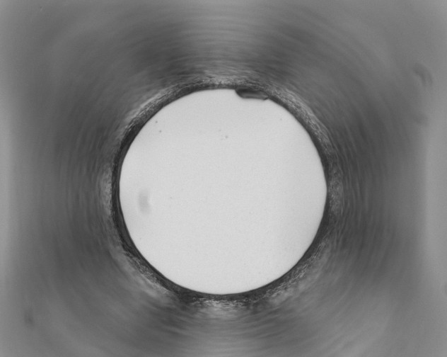 X0000111380442200908211343