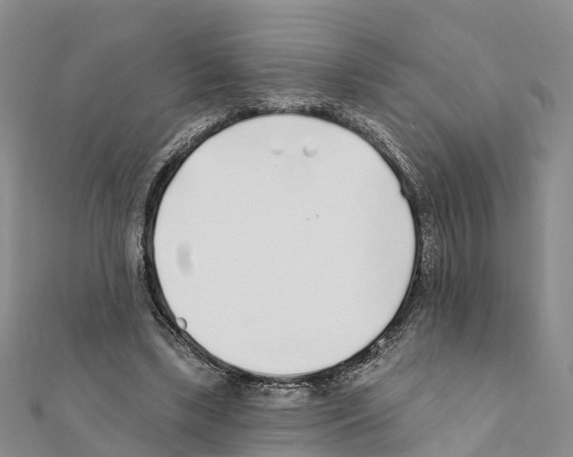 X0000111380443200908211343