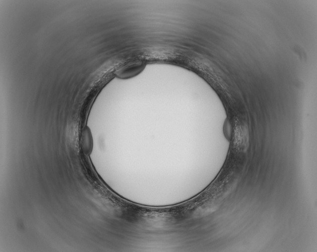 X0000111380444200908211343