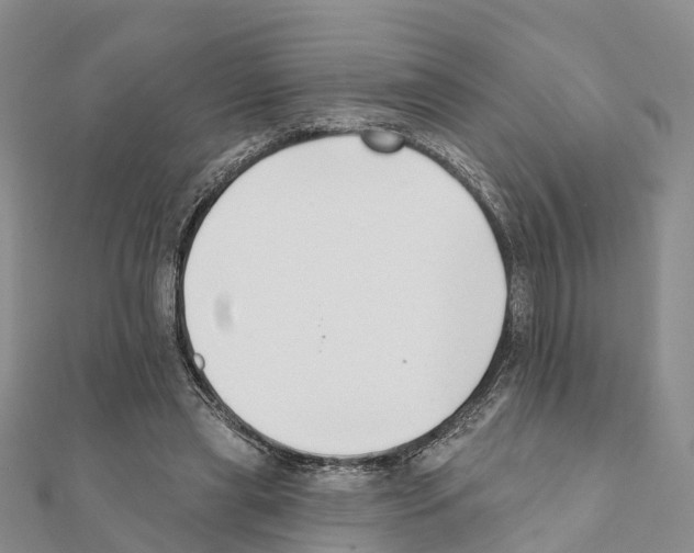 X0000111380445200908211343