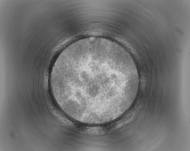 X0000111380446200908211343