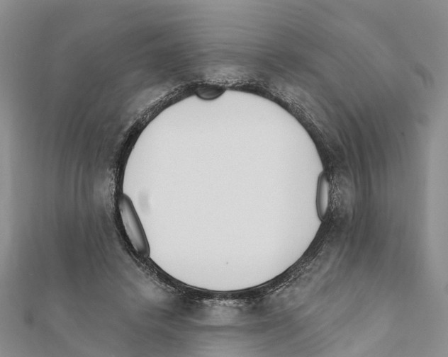 X0000111380448200908211344