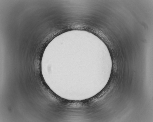 X0000111380449200908211344