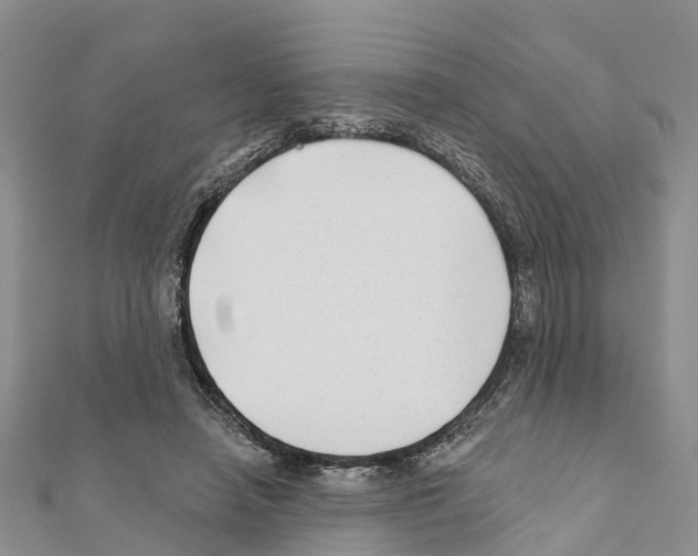 X0000111380450200908211344