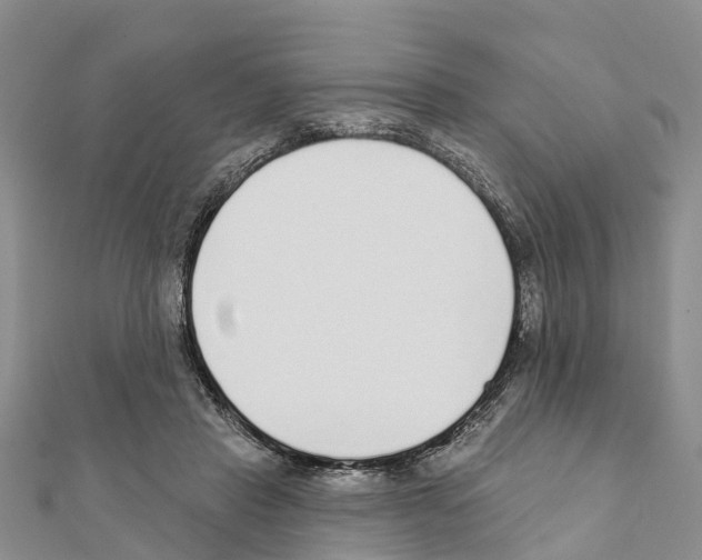 X0000111380453200908211344