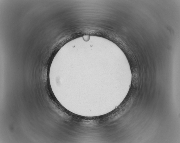 X0000111380454200908211344