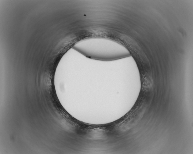 X0000111380456200908211344