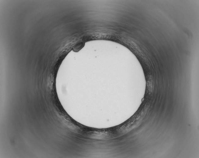 X0000111380458200908211344