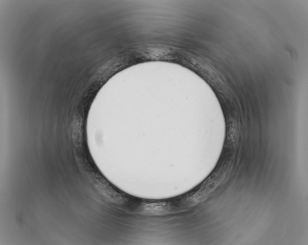 X0000111380461200908211344