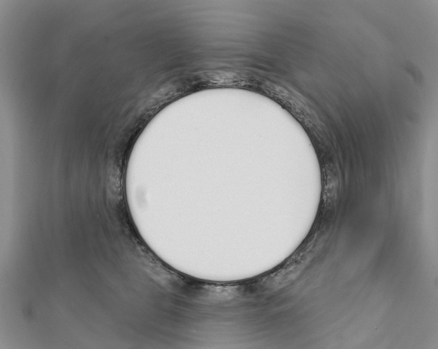 X0000111380469200908211344