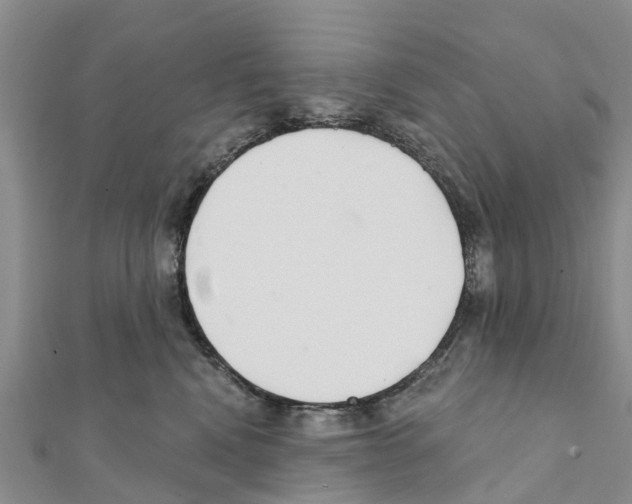 X0000111380472200908211344