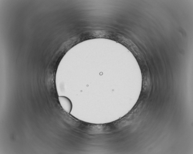 X0000111380473200908211344