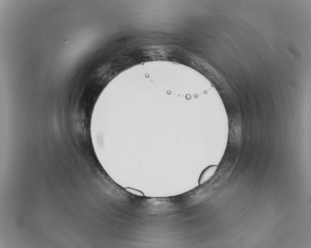 X0000111380477200908211344