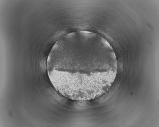 X0000111380479200908211344