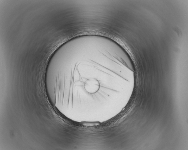 X0000111380481200908211343