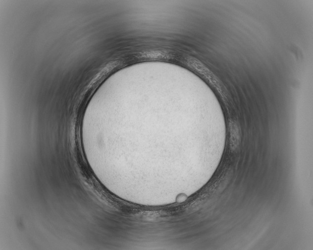 X0000111380482200908211343