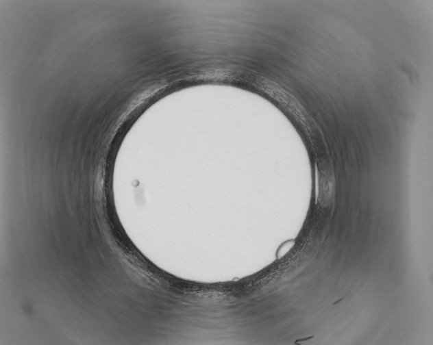 X0000111380483200908211343