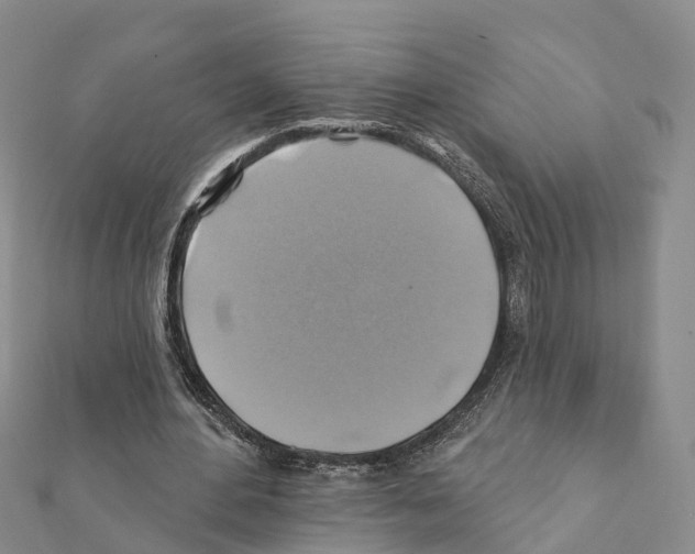 X0000111380484200908211343