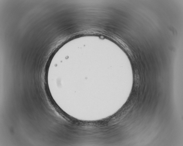 X0000111380485200908211343