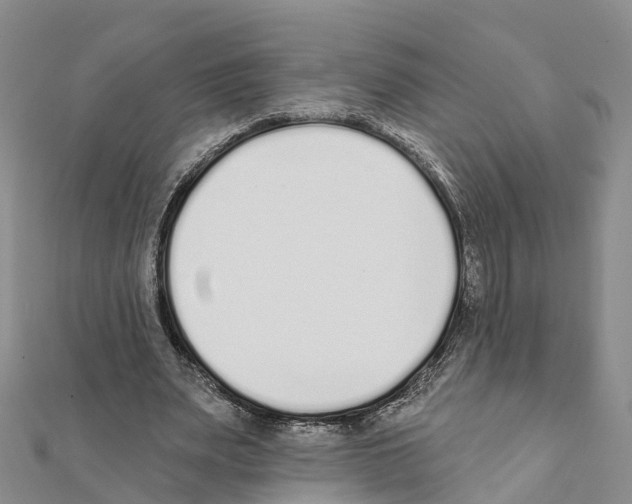 X0000111380487200908211343